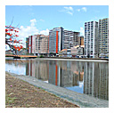 Recife e conhecida como a veneza brasileira. Aluguel de carro recife